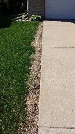 damaged lawn edge